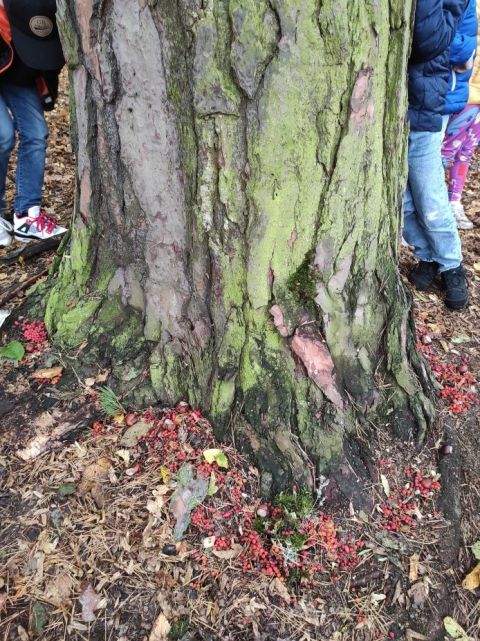 IMG_20231020_144949 IMG_20231020_144949